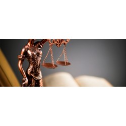 Curso de Especialista en Derecho Y Política Jurisdiccional