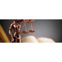 Curso de Especialista en Derecho Y Política Jurisdiccional