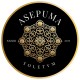 Jornadas ASEPUMA Toledo 2025