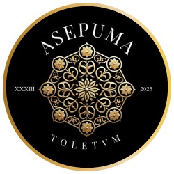 Jornadas ASEPUMA Toledo 2025
