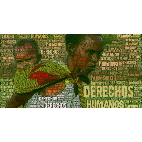 TFM Máster en Derechos Humanos, Género y Derecho Antidiscriminatorio (online)